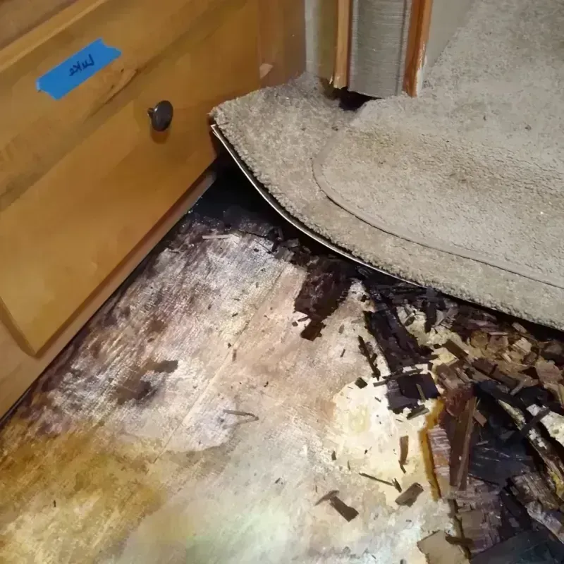 Wood Floor Water Damage in Iola, WI